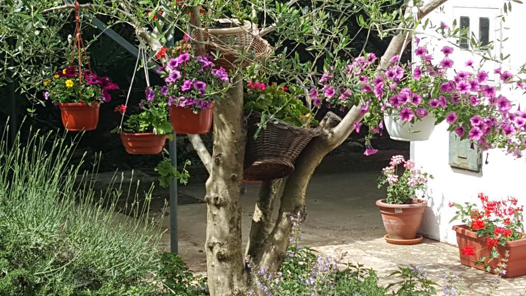 Holiday House Altea Баньоле Стая снимка