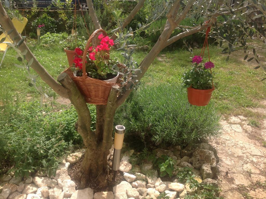 Holiday House Altea Баньоле Стая снимка