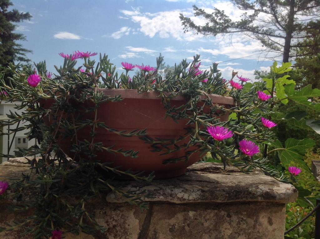 Holiday House Altea Баньоле Стая снимка