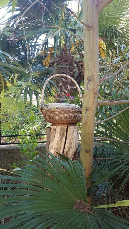 Holiday House Altea Баньоле Екстериор снимка