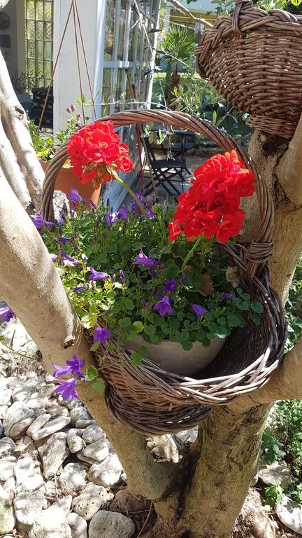 Holiday House Altea Баньоле Екстериор снимка