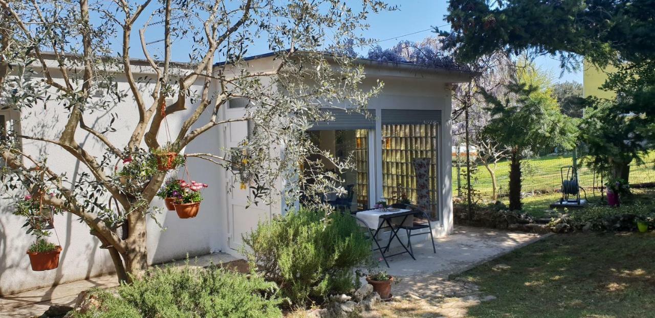 Holiday House Altea Баньоле Екстериор снимка