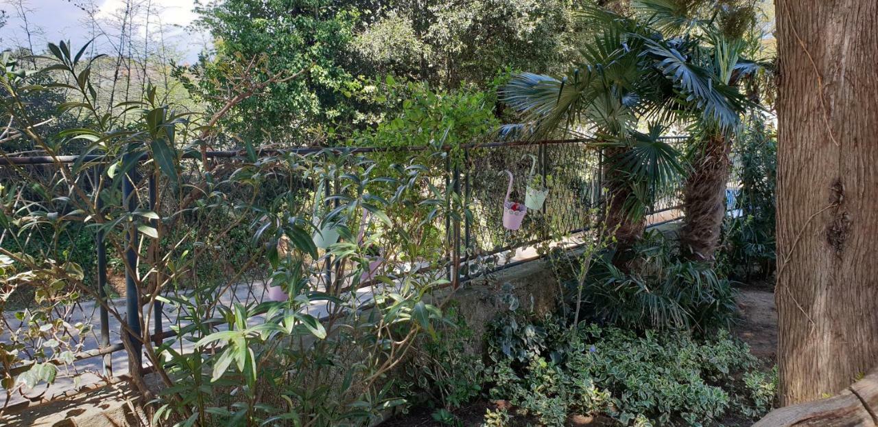 Holiday House Altea Баньоле Екстериор снимка